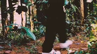 Download lagu story wa #Maroon 5 Memories ( official video) mp3