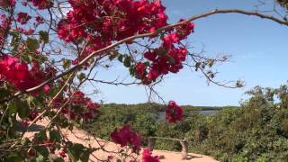 preview picture of video 'Turismo Responsabile in Senegal - Sine Saloum'