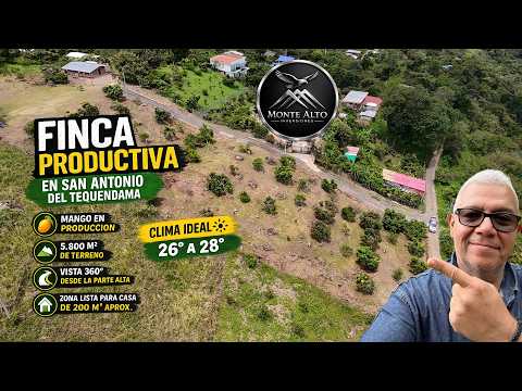 VENTA | Finca productiva | Vista panorámica | San Antonio del Tequendama | 5.800m² cultivo de mango