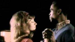 John Mellencamp   Cherry Bomb