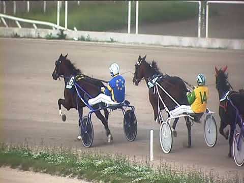 Trotto 09/11/2018 - 4ª corsa