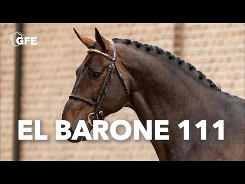 2020 El Barone