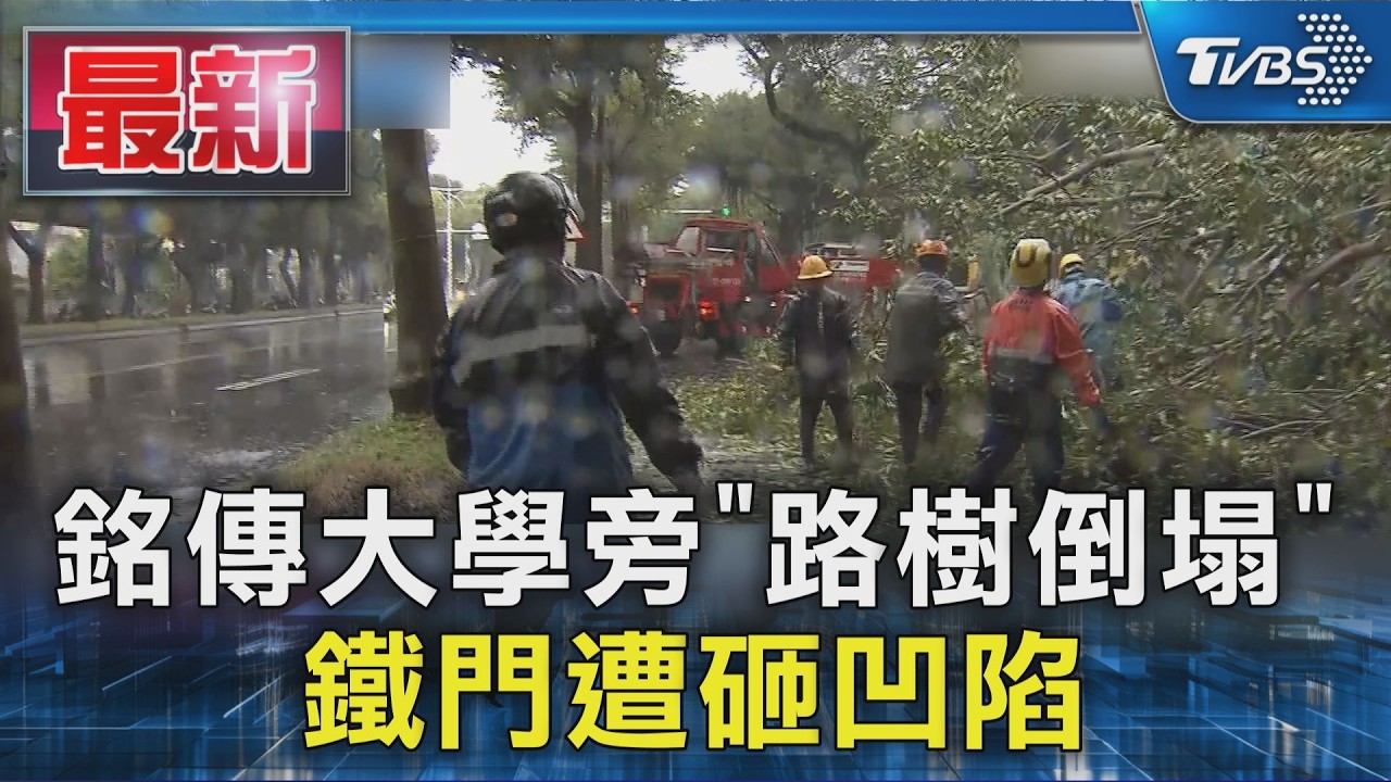 銘傳大學旁「路樹倒塌」 鐵門遭砸凹陷｜TVBS新聞 @TVBSNEWS01