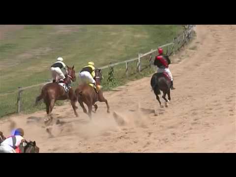 21/01/2017 – Hipodromo Paysandu – Carr 4 – GANDHI DI JOB (2017)