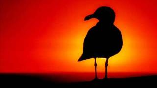 Mario Basanov - Caribbean Girl