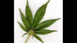 How to Quit Smoking Pot | How to Stop Smoking Weed