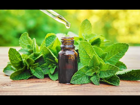 Chemical Constituents of Mentha piperata L. (Lamiaceae) Essential Oil from Congo