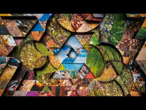 Miguel Atwood-Ferguson - 'Kiseki' (Official Audio)