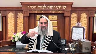 האם אפשר לצרף לברכת על המחיה ספק כזית משבעת המינים (הרב יצחק ישראלי) - התמונה מוצגת ישירות מתוך אתר האינטרנט יוטיוב. זכויות היוצרים בתמונה שייכות ליוצרה. קישור קרדיט למקור התוכן נמצא בתוך דף הסרטון
