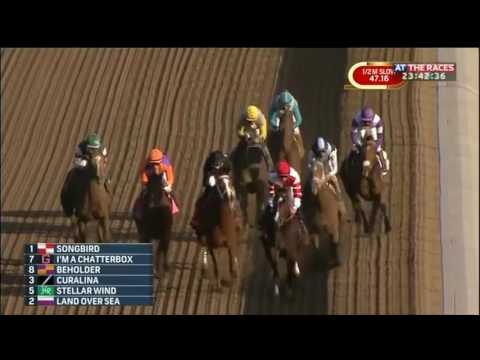 Beholder wins the Longines Breeders' Cup Distaff