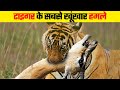 टाइगर के दिल दहला देने वाले हमले Most Dangerous 