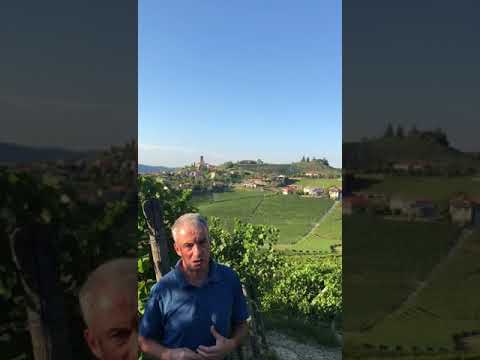 the the bright side of the Cru, Paje'!