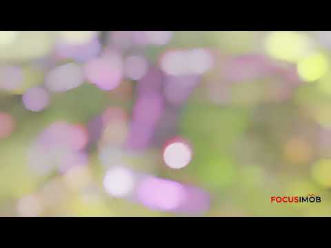 Propriedade Rural à Venda em Itapira/SP – 10 Alqueires com 9 Granjas Aviárias