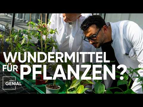 Wachsen Pflanzen schneller mit dieser Erfindung? | Einfach Genial
