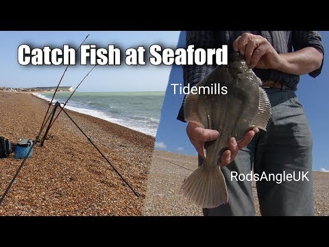 Catch Fish at Seaford: TIDEMILLS