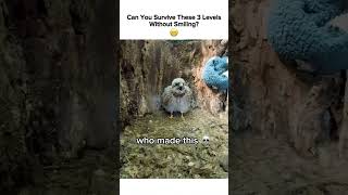 3 Levels! Try Not to Smile! 😁 #funny #meme