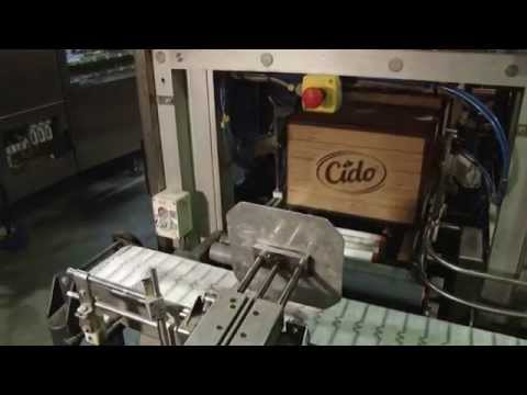 ZB 10ser  - KĀ TOP Sula