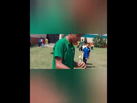 Rakshabandhan Kite C