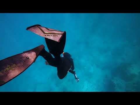 SSI Freediving Course