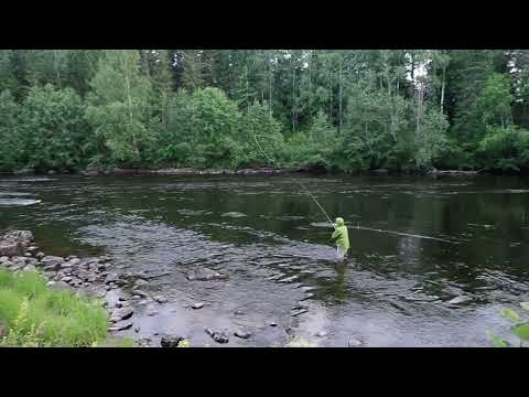 Fishing with Gaelforce Destination 14´6 # 910