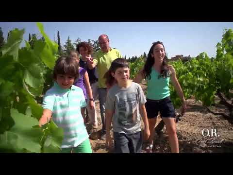 ENOTURISME CAVA ORIOL ROSSELL