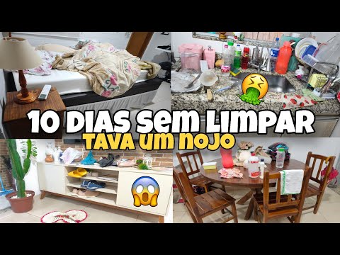 CANSEI!!! 10 DIAS SEM LIMPAR A CASA/ FAXINA PESADA COMPLETA/ MOTIVAÇÃO DE LIMPEZA E ORGANIZAÇÃO ?✨?