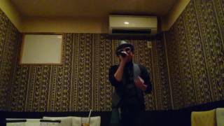 歌ってみた‼ The Gospellers Fly me to the disco ball