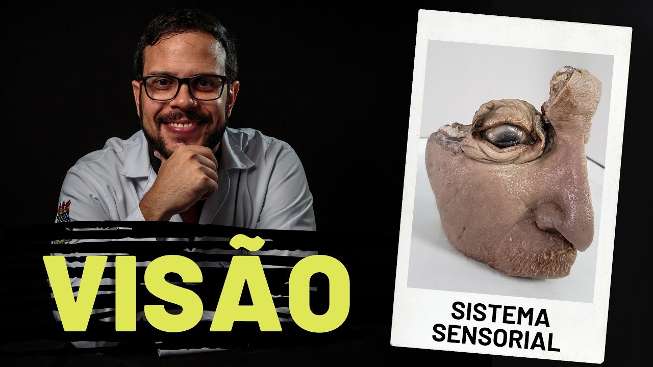 SISTEMA SENSORIAL: ANATOMIA DA VISÃO / OLHO - AULA PRÁTICA COM PROF. ANDRÉ OLIVEIRA