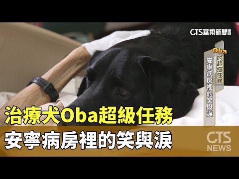 治療犬Oba超級任務　安寧病房裡的笑與淚
