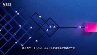 Video Ad