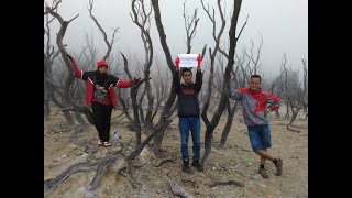 preview picture of video 'Trip Hutan Mati Papandayan'