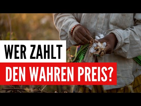 Pestizide: Warum sie nicht nur gefährlich für die Umwelt sind