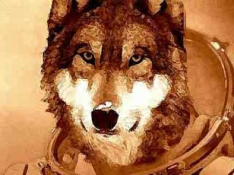 Wolf In A Spacesuit - Bark of a Cedar Demo
