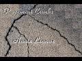 Annie Lennox Pavement Cracks
