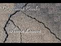 Annie Lennox Pavement Cracks 