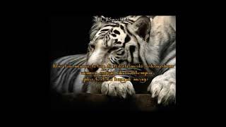 Download lagu story wa macan putih prabu siliwangi|| mp3