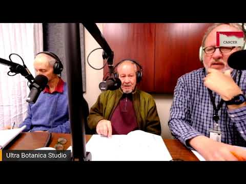 Joe Tippens Blog