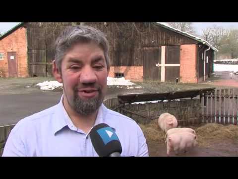 Partnervermittlung bauern schweiz