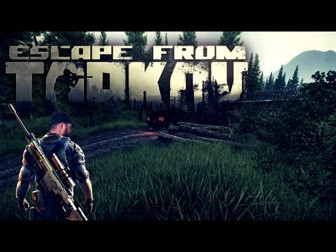 Live - Escaping Tarkov is Insane | Road to 700 Subs!