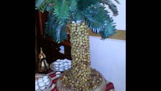 صورة مجلس أبي عمرو مع عمرو بن عبيد