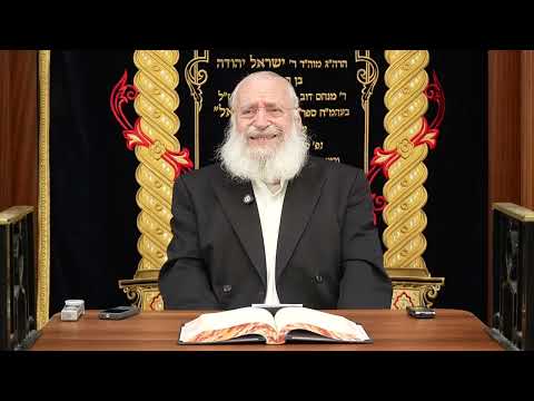 Kedima B'Mitzvos | Weekly Shiur by Rav Asher Weiss Shlit"a (Pinchas 5786)