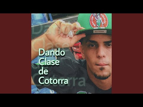 Dando clase de cotorra