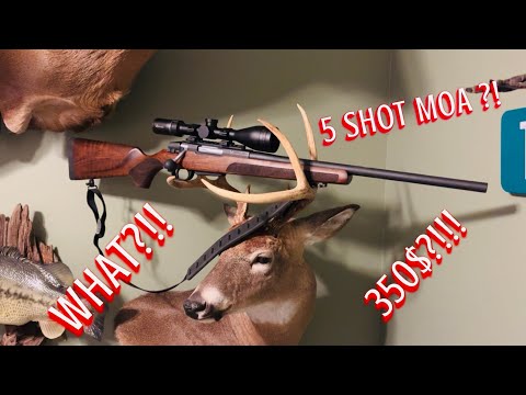 STEVENS 334 308 WIN REVIEW… 5 SHOT MOA?!! WHAT?!!