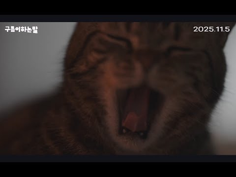 [구름이하는말] 메인 예고편 ☁ 예고편