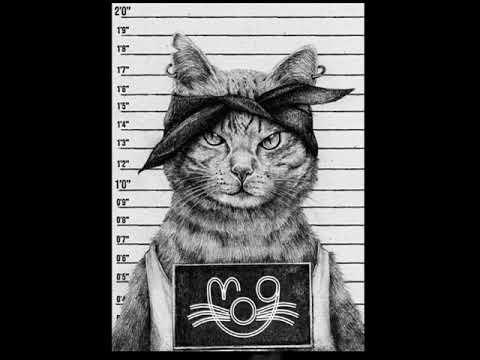 MOG - "CRIMINAL" [SACRO REQUIEM] [NON PROFIT] [2025]