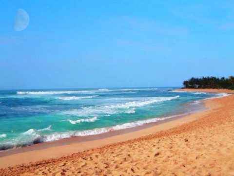 MELODIQ - "SummerTime"