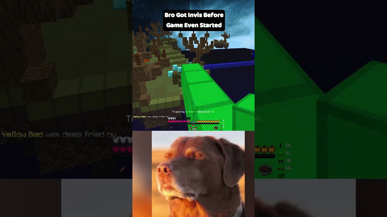 Bro Got Hacks Before Gta VI 😭 | #minecraft #ragequit #hypixel #bedwars #viral