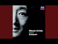 Schubert: Piano Sonata No. 21 in B-Flat Major, D. 960 - 2. Andante sostenuto