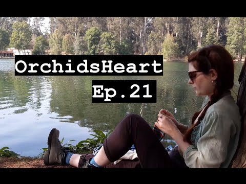 Ep.21: Magnolia Bloom and lots of Spring WIPs