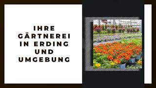 Video-Thumbnail